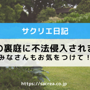 実家の裏庭に不法侵入されました